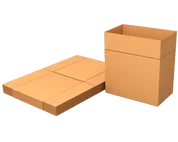 Carton Case Erector